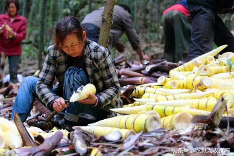 笋干的制作过程,赣南笋干的家常做法
