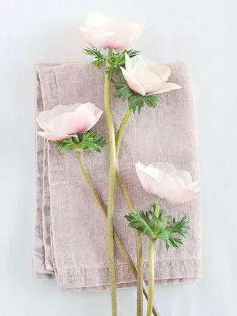 简爱的爱情观读后感,爱情和尊严免费阅读全文