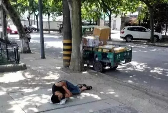 怒超上海月均工资！在农村也能月入过万，网友瑟瑟发抖：求带……