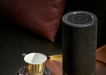 爱浪小爱a1音箱,爱浪小爱a1音箱说明书