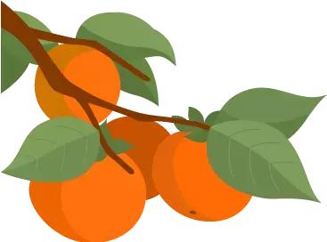 预防宫颈癌要打针,宫颈癌筛查52阳性可以打hpv疫苗吗