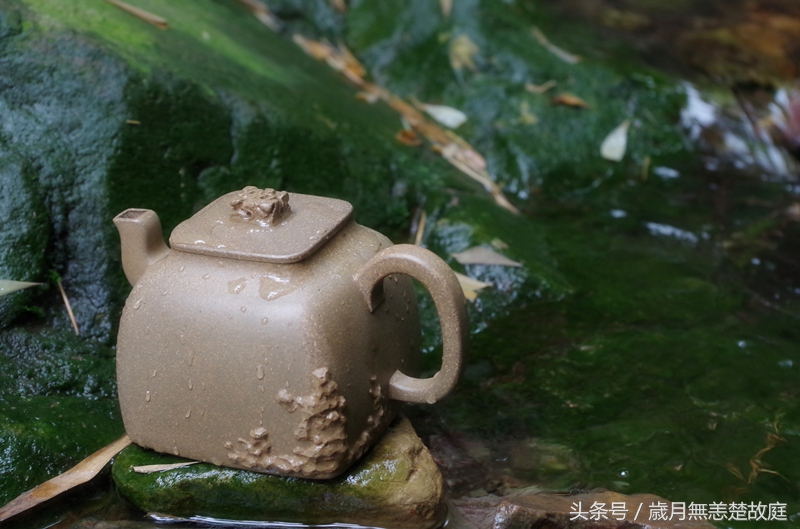 什么水泡茶效果最好,什么材质的杯子泡茶水最好