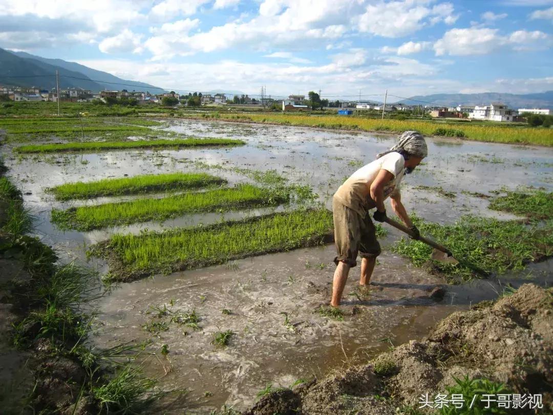 涓嶆墦宸ヤ笉涓婄彮灏辫兘涔版埧,涓嶆墦宸ヤ笉涔版埧鏃朵唬