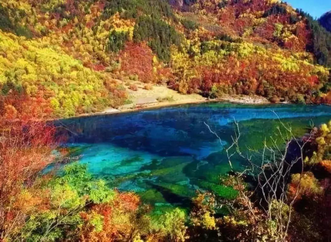 四川秋景第一名,四川欣赏秋景好去处