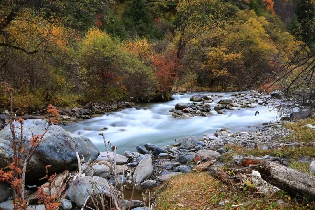 四川秋景第一名,四川欣赏秋景好去处