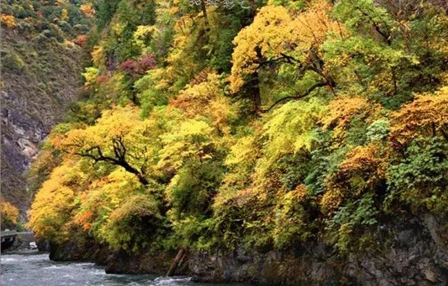 四川秋景第一名,四川欣赏秋景好去处