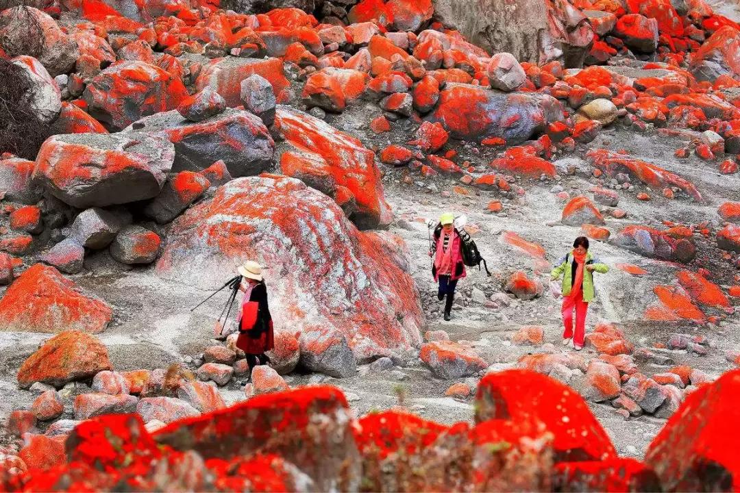 四川秋景第一名,四川欣赏秋景好去处