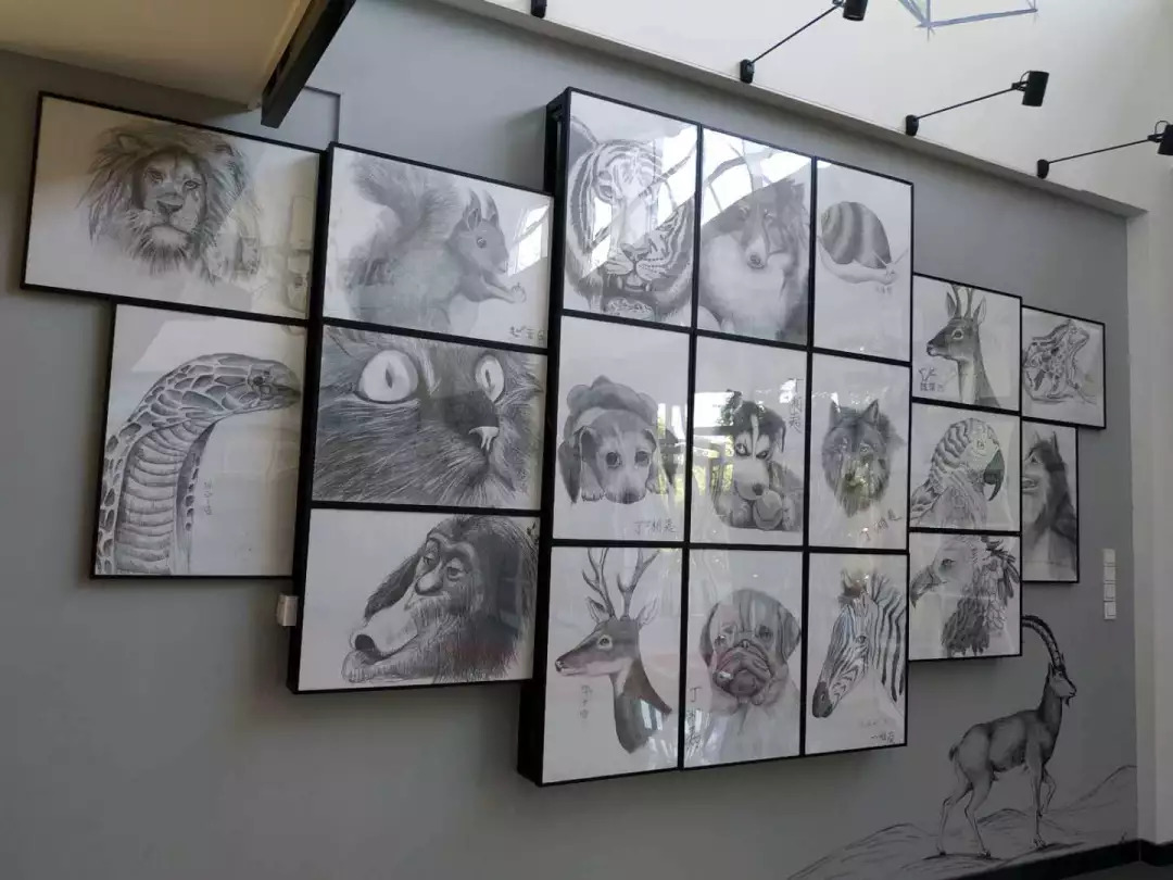 开发区教育配套,开发区优质教育