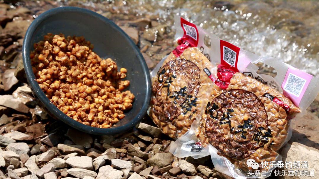 秋季水库夜钓草鱼怎样钓效果最好,秋季草鱼晚上钓底还是钓浮