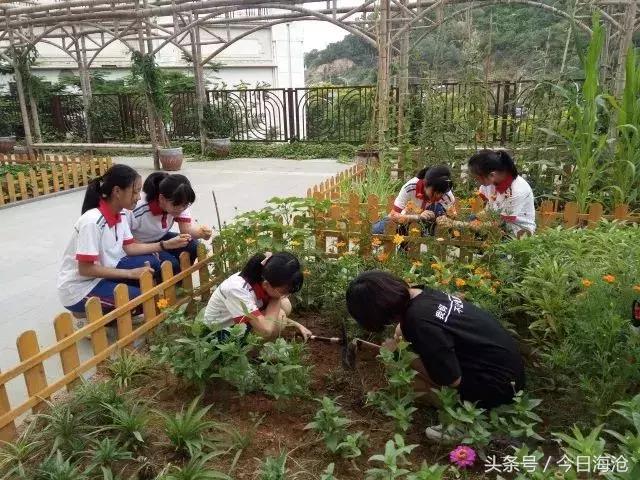 海沧中学厉害吗,厦门海沧高级中学有哪些