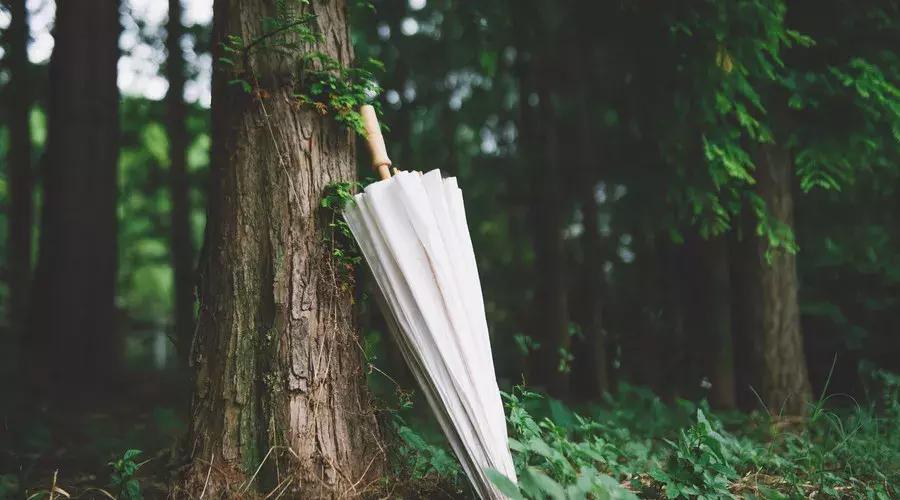 刑法知识点总结大全,刑法基础知识案例