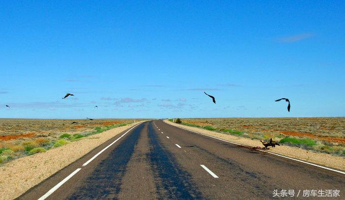 澳宝化石,澳宝考古