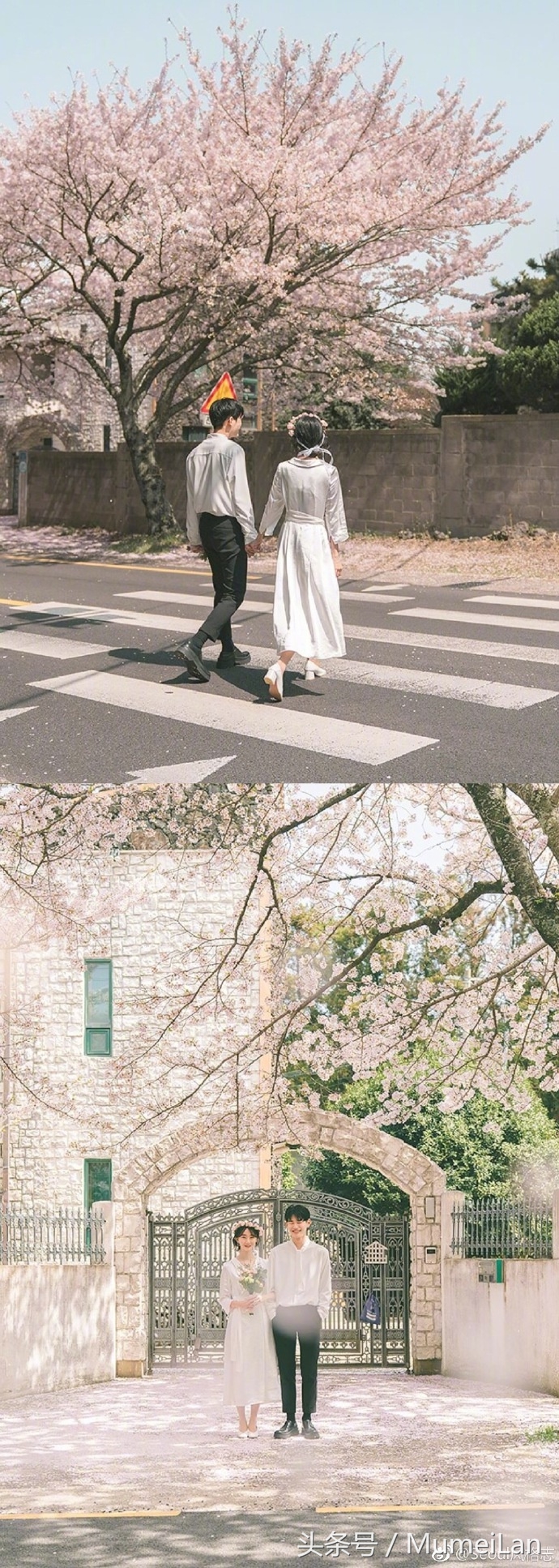 甜到炸的小清新婚纱照就该这样拍,韩式小清新可爱俏皮室内婚纱照