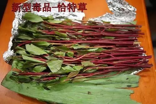 新型毒品的危害有哪些,新型毒品有多可怕