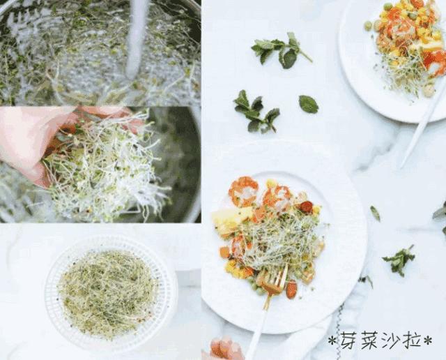 打造小菜园怎么种菜好看,自制阳台立体小菜园