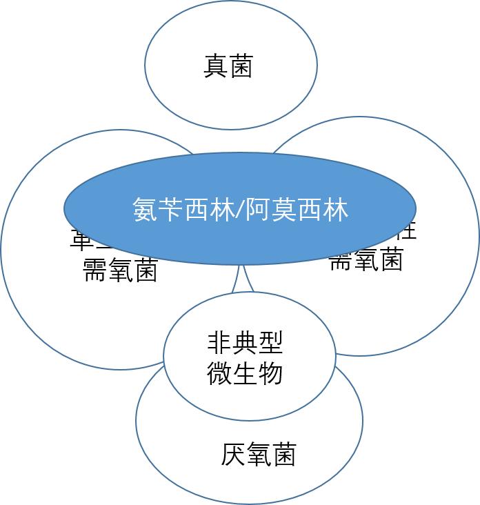 口服阿莫西林罗红霉素头孢克肟,头孢青霉素阿莫西林罗红霉素区别