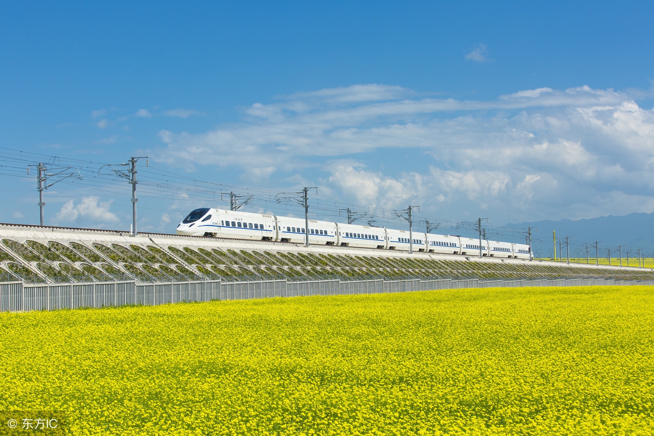 额济纳胡杨林露营攻略,额济纳胡杨林自驾游免费露营