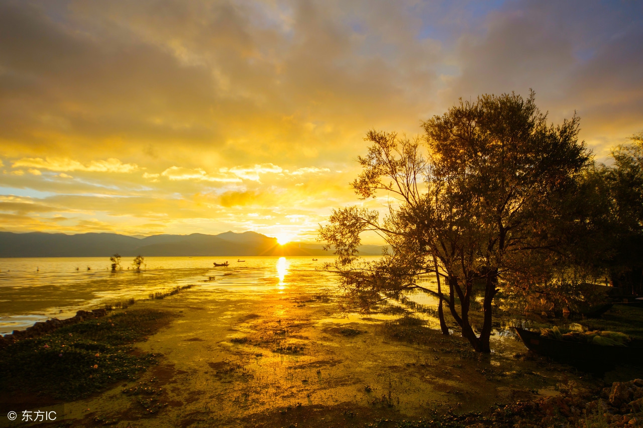 额济纳胡杨林露营攻略,额济纳胡杨林自驾游免费露营