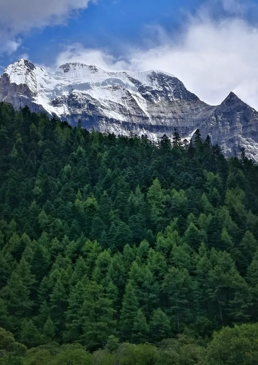 老子不上班请假去稻城,9月不上班了句子