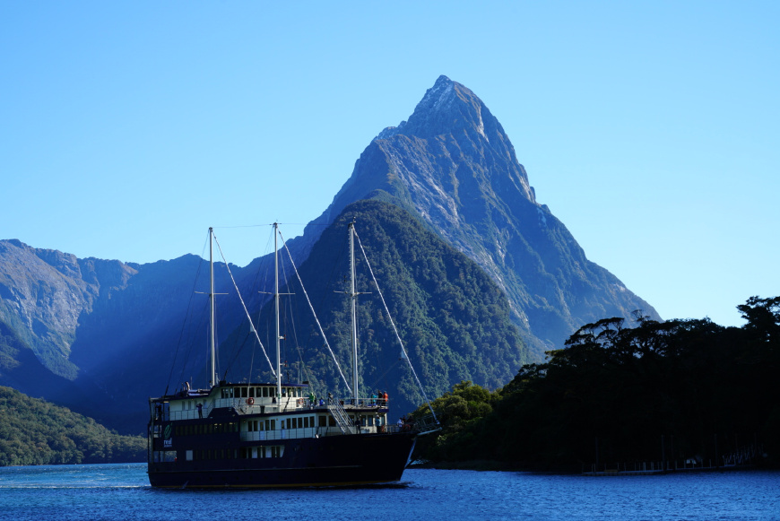 新西兰签证办理流程图片高清大图,新西兰网签费用多少钱