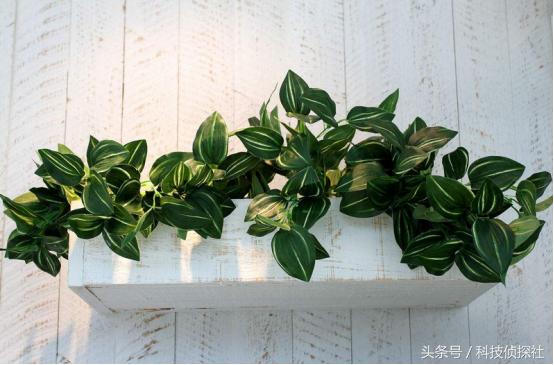 除甲醛神器空气净化器霍尼韦尔,史密斯除醛空气净化器评测