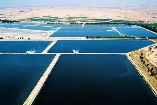 污水治理行业竞争格局,污水处理新技术研发与产业化