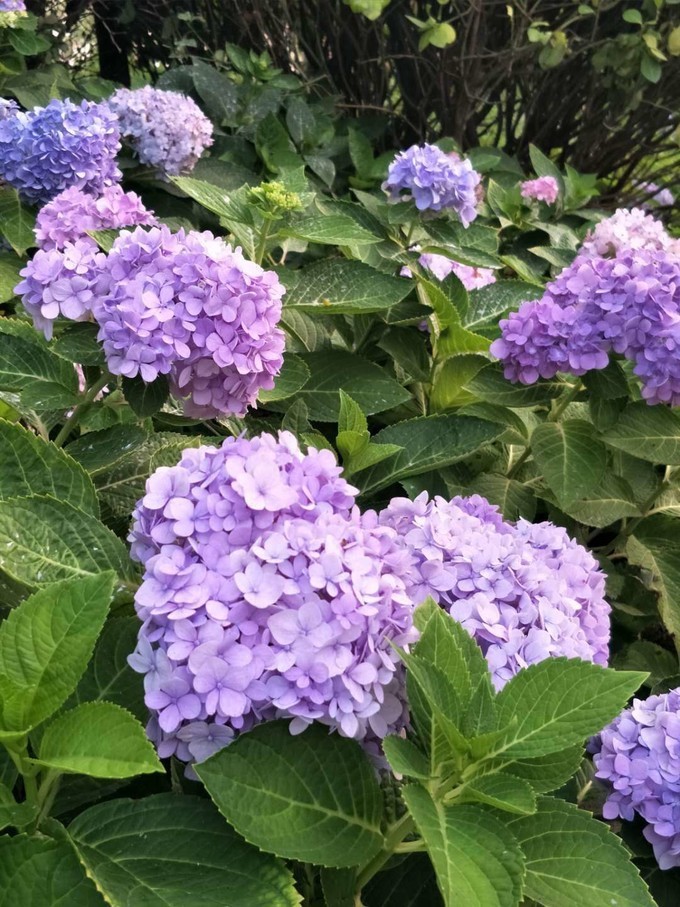 秦皇岛南戴河遛娃好去处,秦皇岛北戴河南戴河亲子游