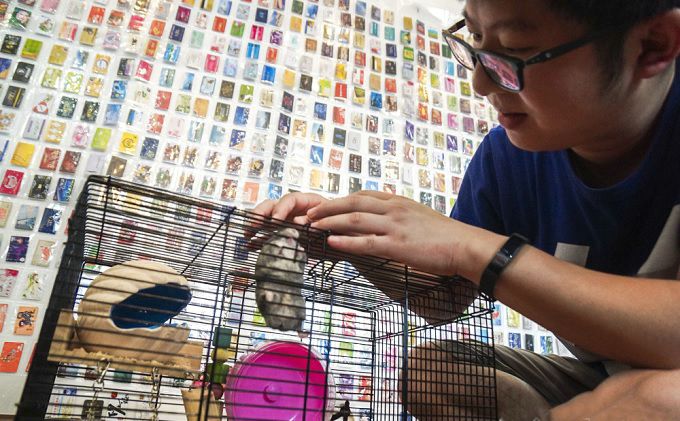 卡哥优惠卡,上海卡哥千张优惠卡