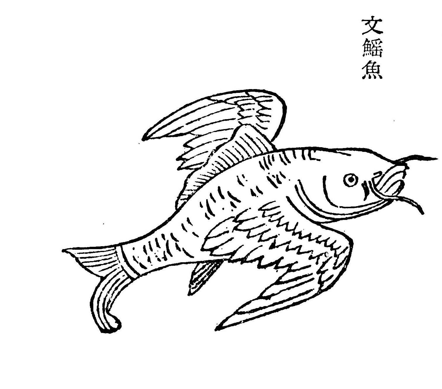 讲解山海经,图解山海经之南山三经