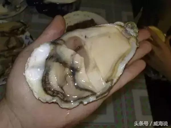 炫富卖海鲜的,威海开海去哪买海鲜