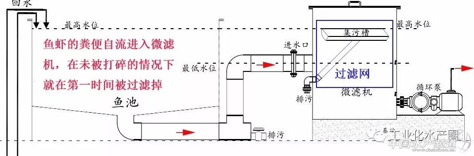 水产高密度养殖循环水系统,大棚高密度水产循环水养殖