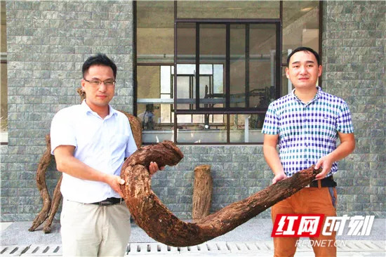 「看区县」永定区官黎坪街道河长制常态化巡河见成效/武陵源区三举措打造智慧养老服务“物联网”成效显著（更多）