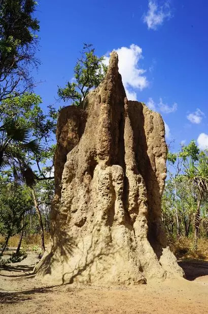 深圳有没有直飞悉尼的航班,深圳直飞悉尼最新消息