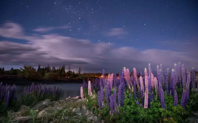 中国全世界最美的人排行榜,世界上最美的国家前十