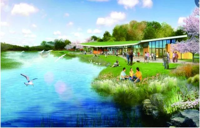 青岛市西海岸中央公园图片,青岛新建公园效果图