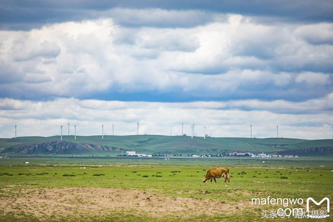 内蒙古赤峰达里湖旅游攻略,赤峰达里湖景区