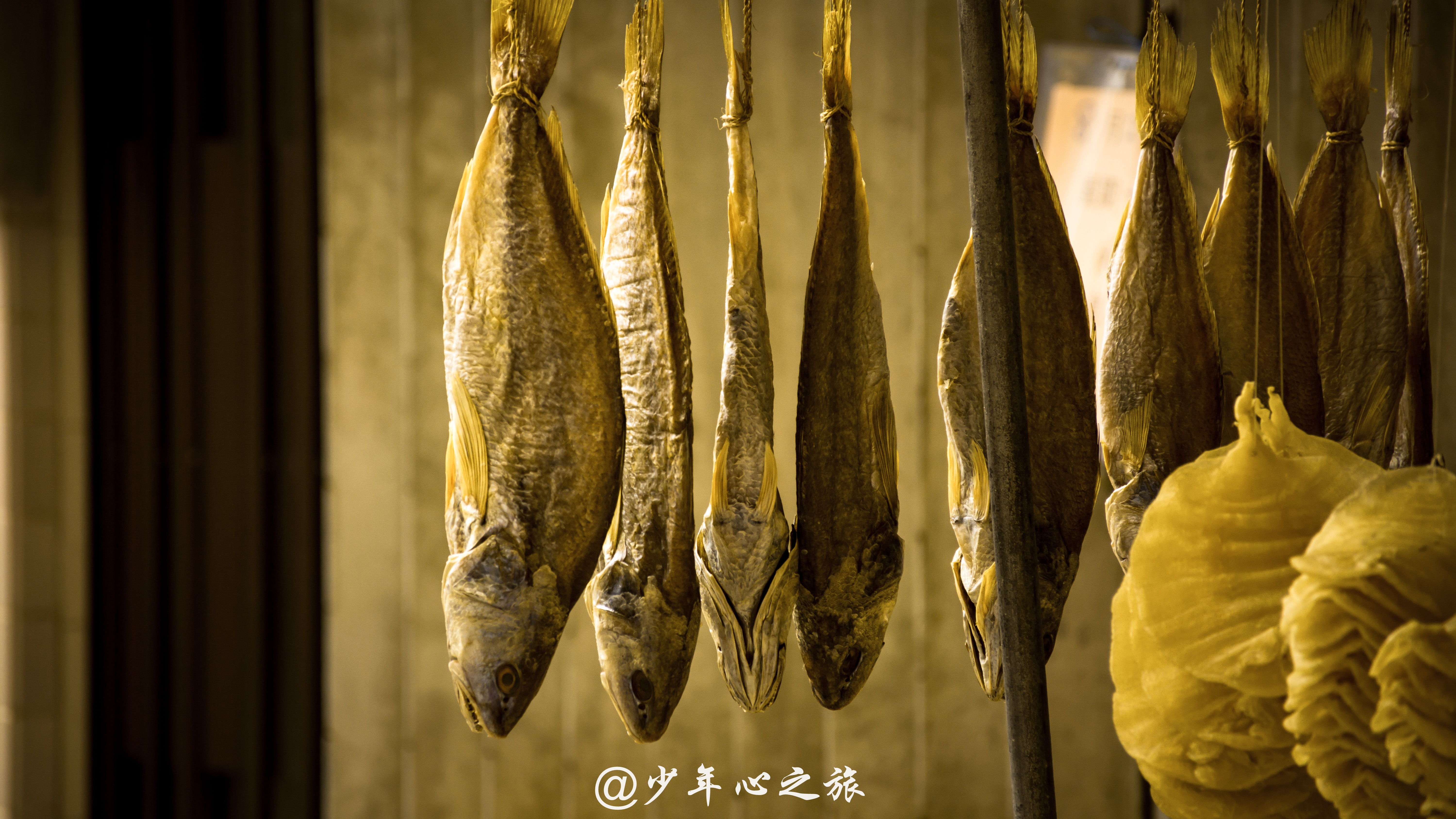 香港的古老渔村,香港以前的小渔村是什么样的