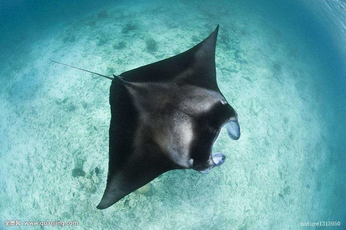 三亚海边旅游攻略自由行,三亚旅行详细攻略自由行