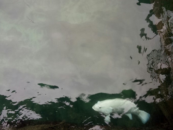 三亚海边旅游攻略自由行,三亚旅行详细攻略自由行