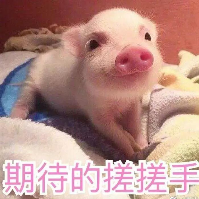 香港便宜大牌折扣店,香港换季折扣店