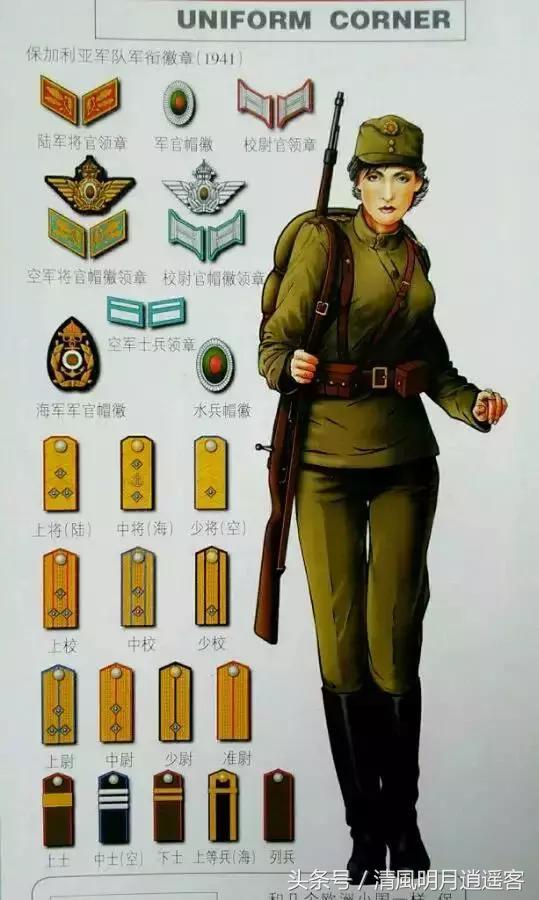 二战美国海军少尉军衔军装,从二战到现在的军装军衔等级