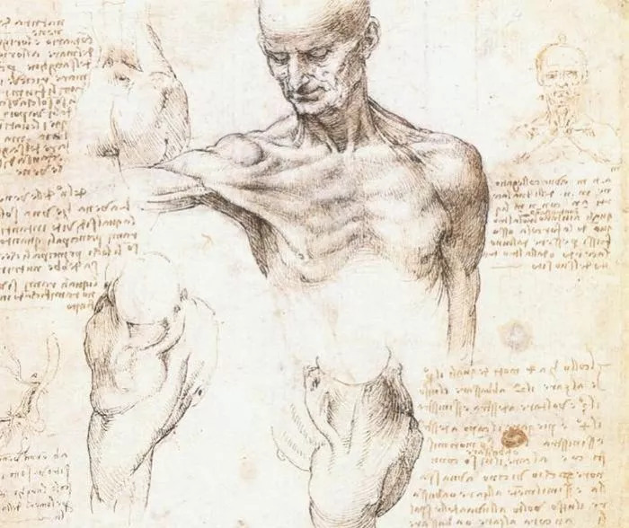 不要用你的业余爱好挑战我们的专业郭德纲终于回应交大博士夫妻