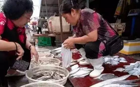 开海了哪里海鲜便宜汕头,开海了去哪里买海鲜青岛