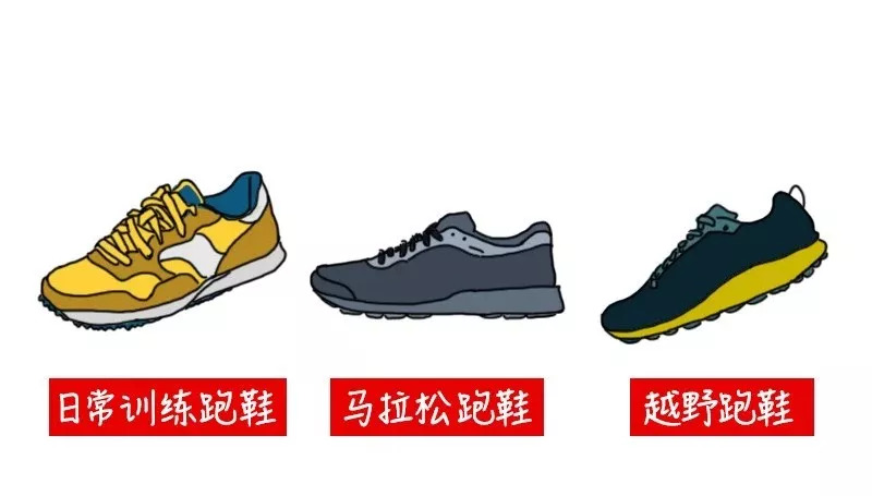跑步有没有必要选专业的跑鞋,一般跑步买什么跑鞋