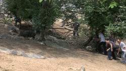 九皇山秋天攻略,秋天九皇山可以干嘛