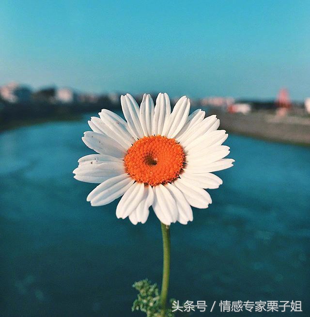 情感咨询栗子姐是真实的吗,栗子姐每日情感问答