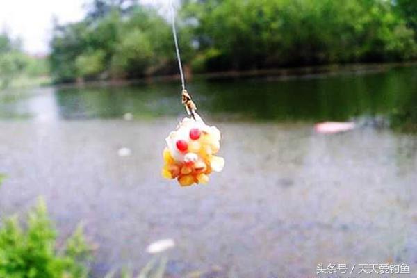 野钓小鱼闹窝最佳配方,野钓小鱼闹窝的三个妙招