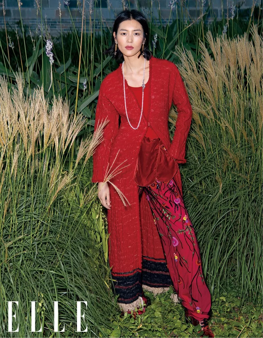 刘雯三年经历了什么,我们问的问题有哪些