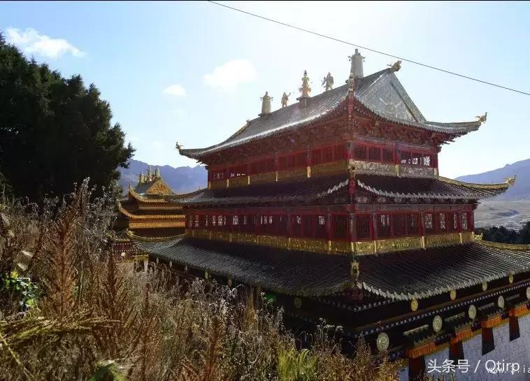 欧洲杯柏林球场,欧洲杯2024柏林奥林匹克球场