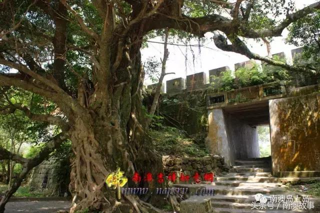 南澳古寺,广州南澳十大寺